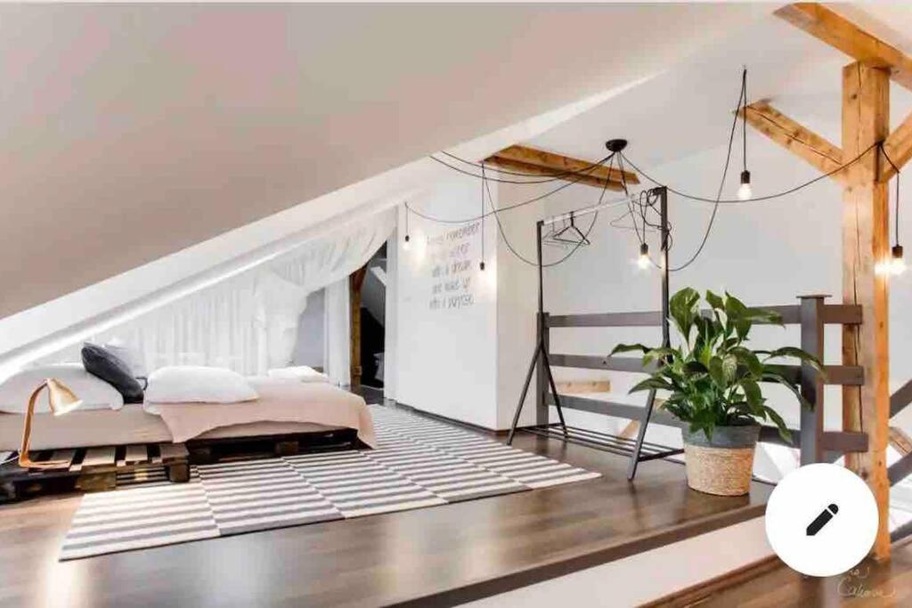 Apartment Unique City Centre Duplex, Roof Top Terrace, Castle View *